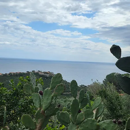Kalimera 1 *
